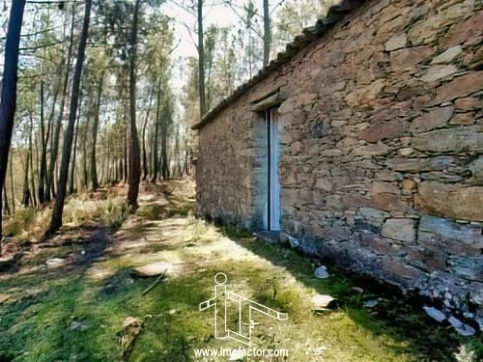 Quinta T0 para Venda em Santo Andre das Tojeiras Foto 1