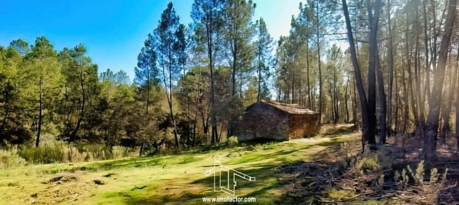 Quinta T0 para Venda em Santo Andre das Tojeiras Foto 22