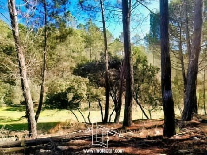 Quinta T0 para Venda em Santo Andre das Tojeiras Foto 21