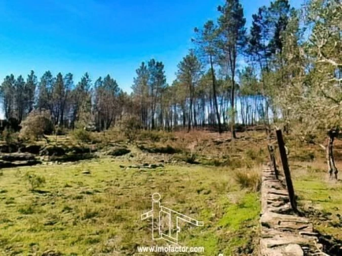 Quinta T0 para Venda em Santo Andre das Tojeiras Foto 15