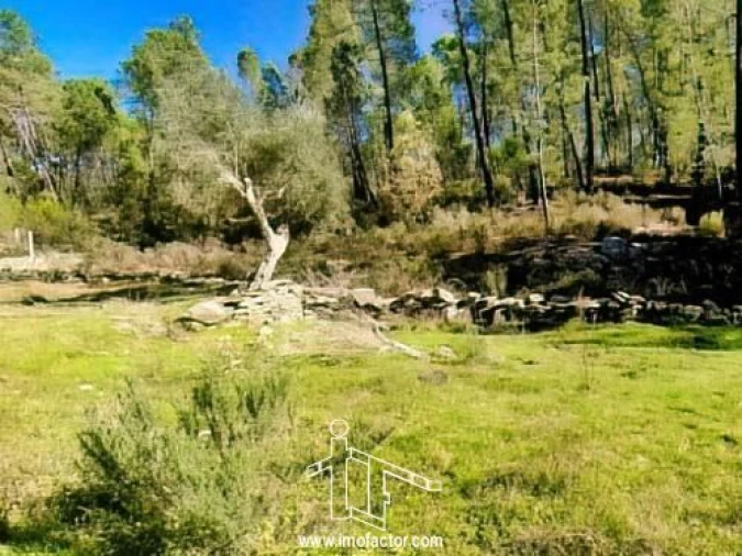 Quinta T0 para Venda em Santo Andre das Tojeiras Foto 11