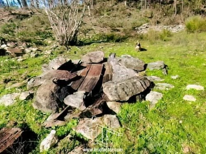 Quinta T0 para Venda em Santo Andre das Tojeiras Foto 10