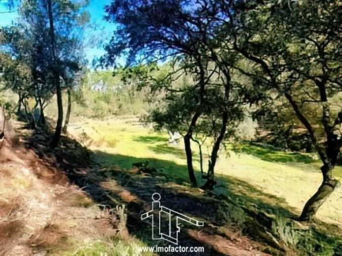 Quinta T0 para Venda em Santo Andre das Tojeiras Foto 8