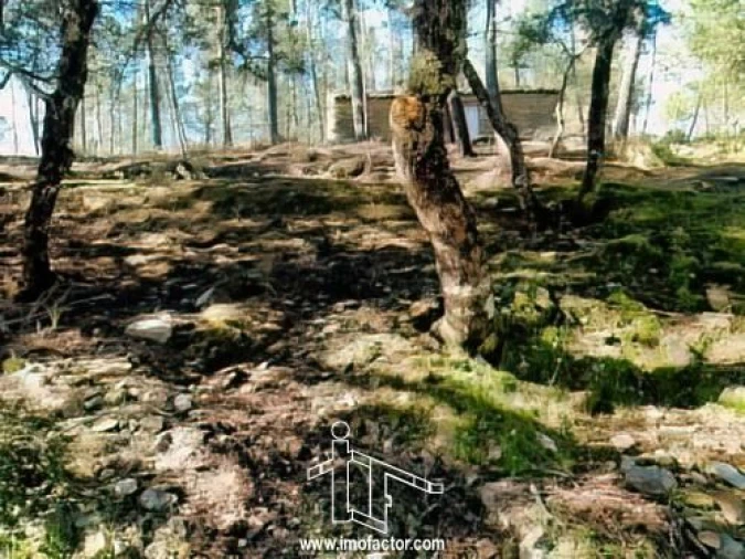 Quinta T0 para Venda em Santo Andre das Tojeiras Foto 7