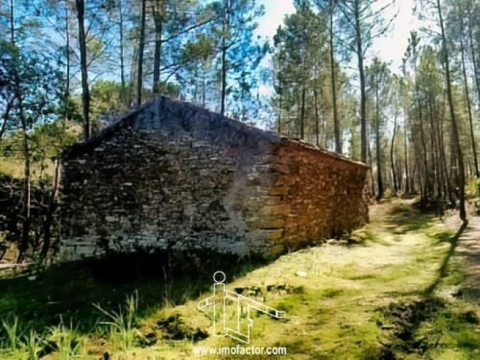 Quinta T0 para Venda em Santo Andre das Tojeiras Foto 6