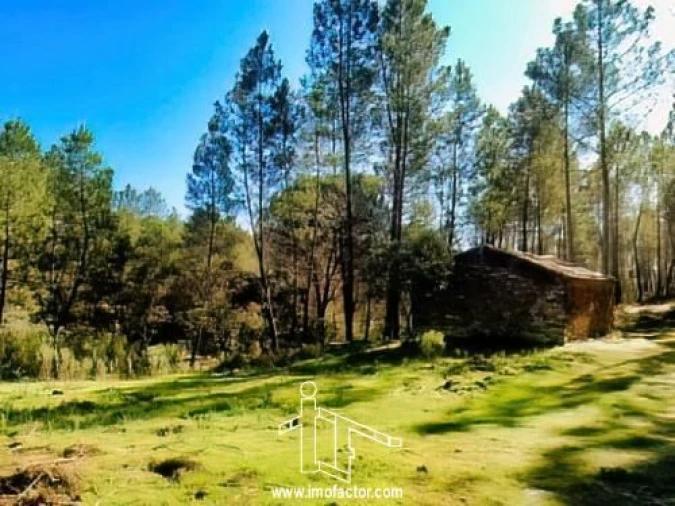 Quinta T0 para Venda em Santo Andre das Tojeiras Foto 5