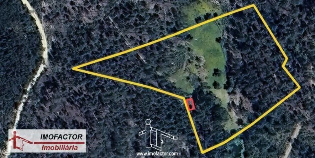 Quinta T0 para Venda em Santo Andre das Tojeiras Foto 23