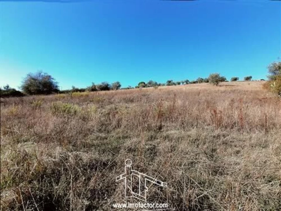 Terreno para Venda em Castelo Branco Foto 8