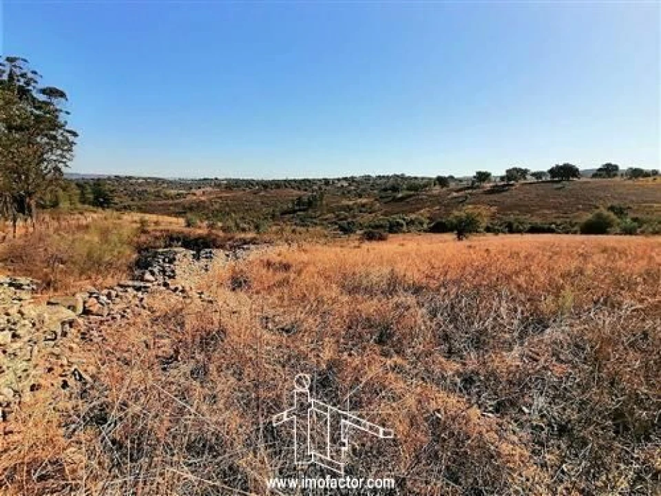 Terreno para Venda em Castelo Branco Foto 6