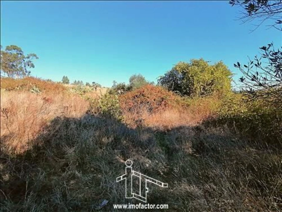 Terreno para Venda em Castelo Branco Foto 5