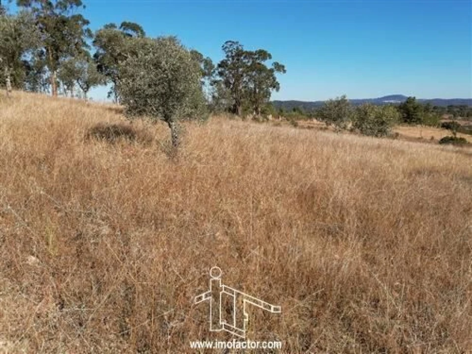 Terreno para Venda em Castelo Branco Foto 3