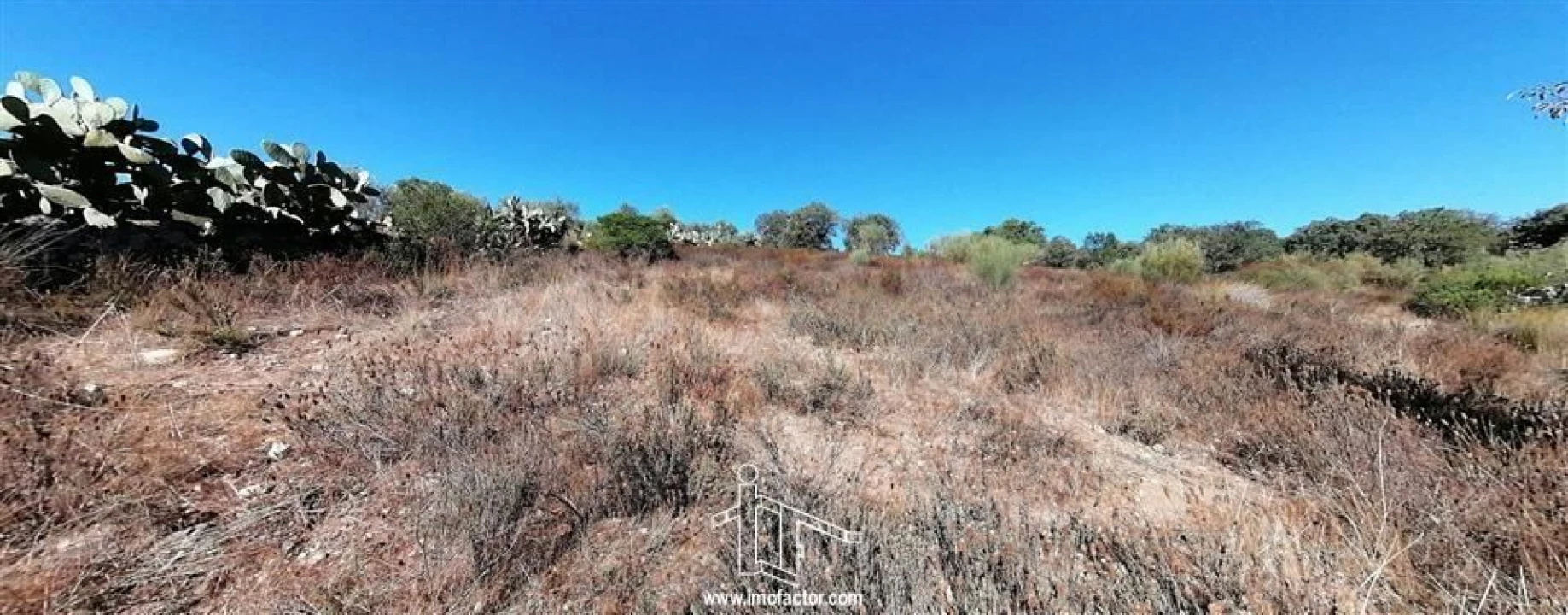 Terreno para Venda em Castelo Branco Foto 16