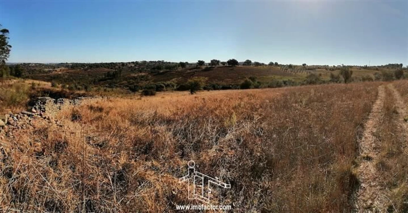 Terreno para Venda em Castelo Branco Foto 15