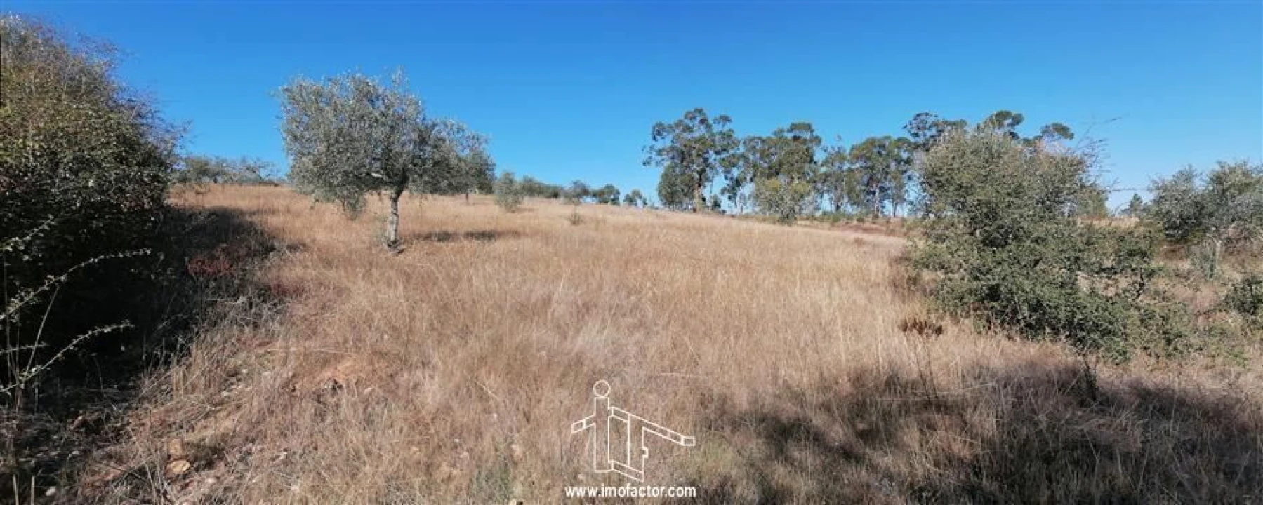 Terreno para Venda em Castelo Branco Foto 9