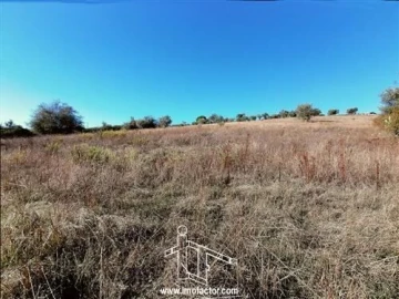 Terreno para Venda em Castelo Branco