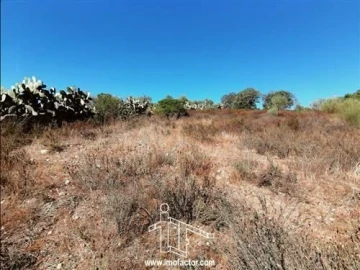 Terreno para Venda em Castelo Branco