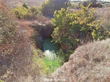 Terreno para Venda em Castelo Branco
