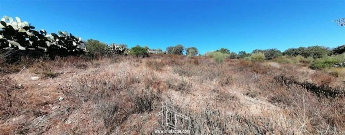 Terreno para Venda em Castelo Branco