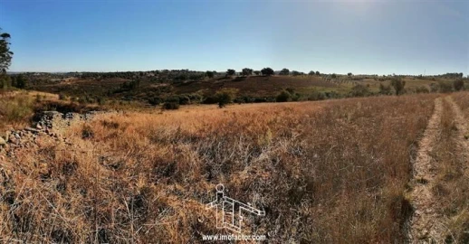 Terreno para Venda em Castelo Branco