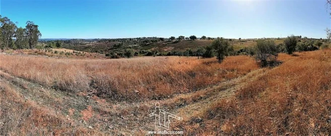 Terreno para Venda em Castelo Branco