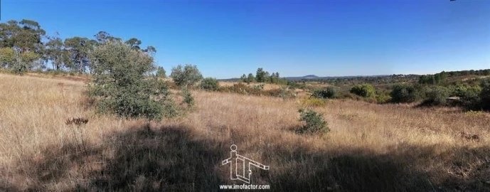 Terreno para Venda em Castelo Branco