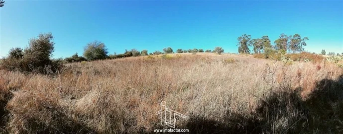 Terreno para Venda em Castelo Branco