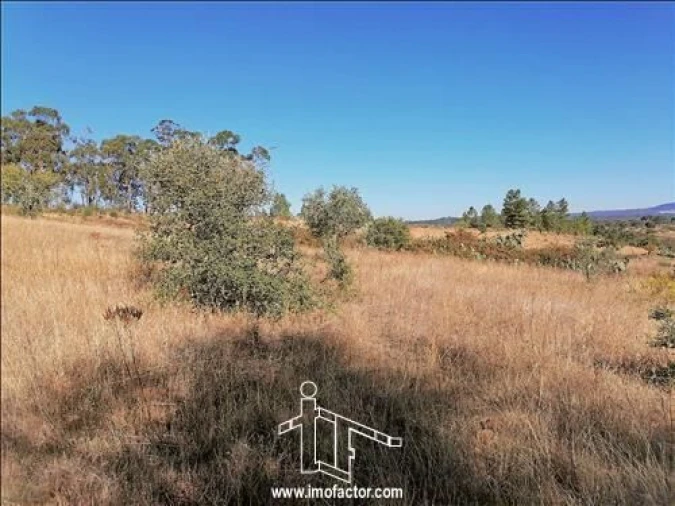 Terreno para Venda em Castelo Branco Foto 2