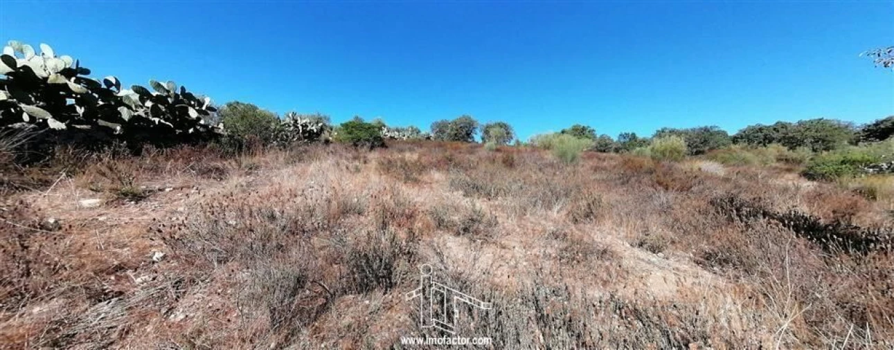 Terreno para Venda em Castelo Branco Foto 16
