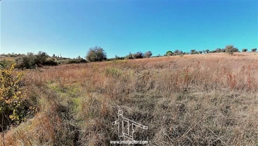 Terreno para Venda em Castelo Branco Foto 11