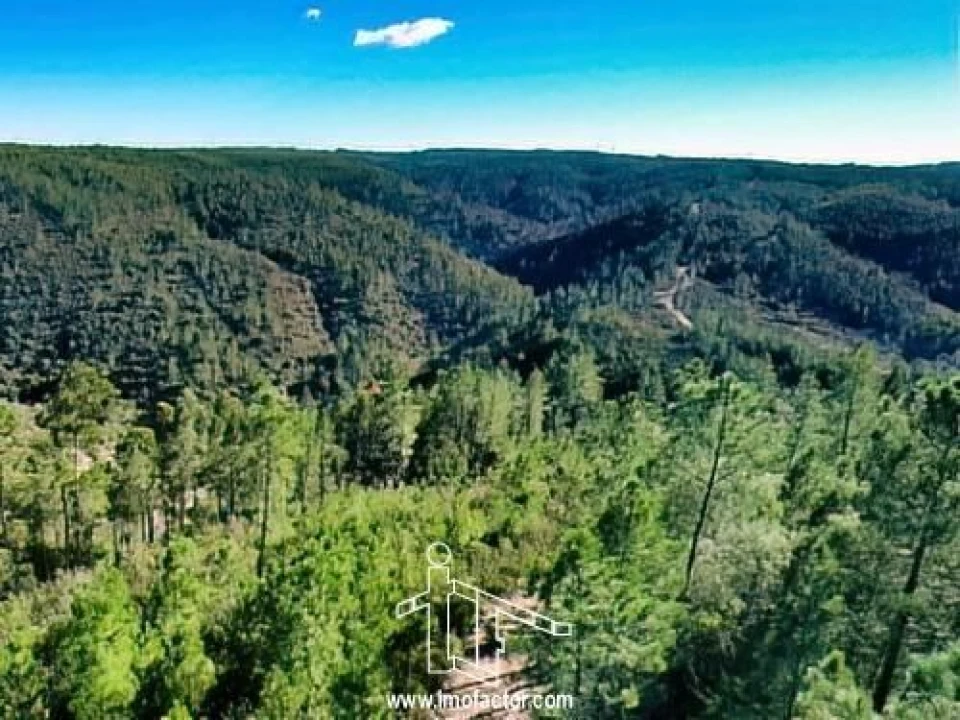Terreno para Venda em Santo Andre das Tojeiras Foto 17