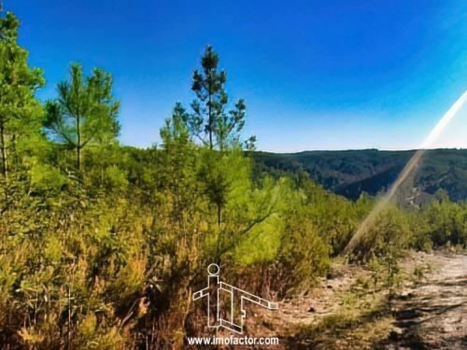 Terreno para Venda em Santo Andre das Tojeiras Foto 15