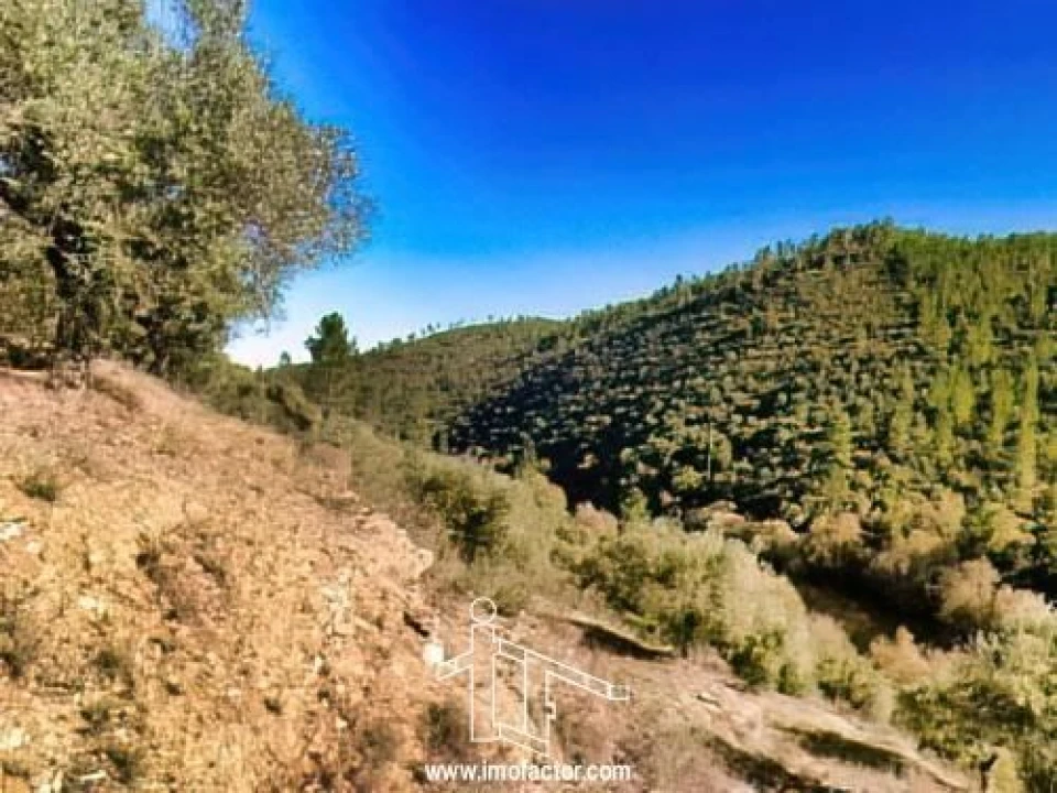 Terreno para Venda em Santo Andre das Tojeiras Foto 12