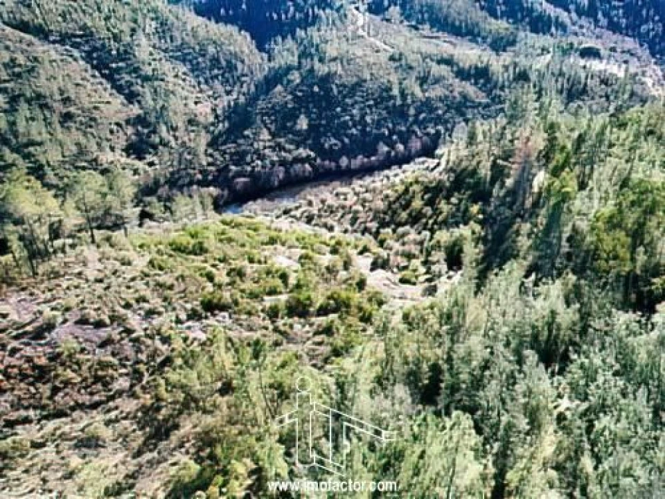 Terreno para Venda em Santo Andre das Tojeiras Foto 11