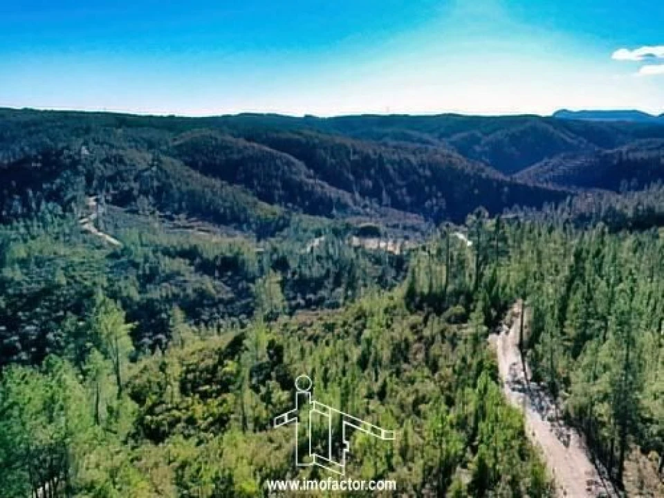 Terreno para Venda em Santo Andre das Tojeiras Foto 7