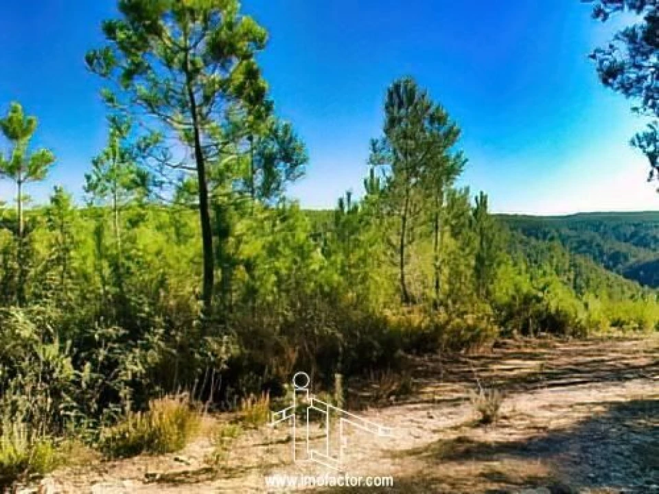 Terreno para Venda em Santo Andre das Tojeiras Foto 6