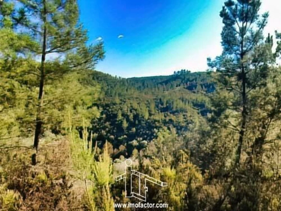 Terreno para Venda em Santo Andre das Tojeiras Foto 5