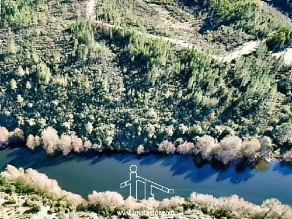 Terreno para Venda em Santo Andre das Tojeiras Foto 2