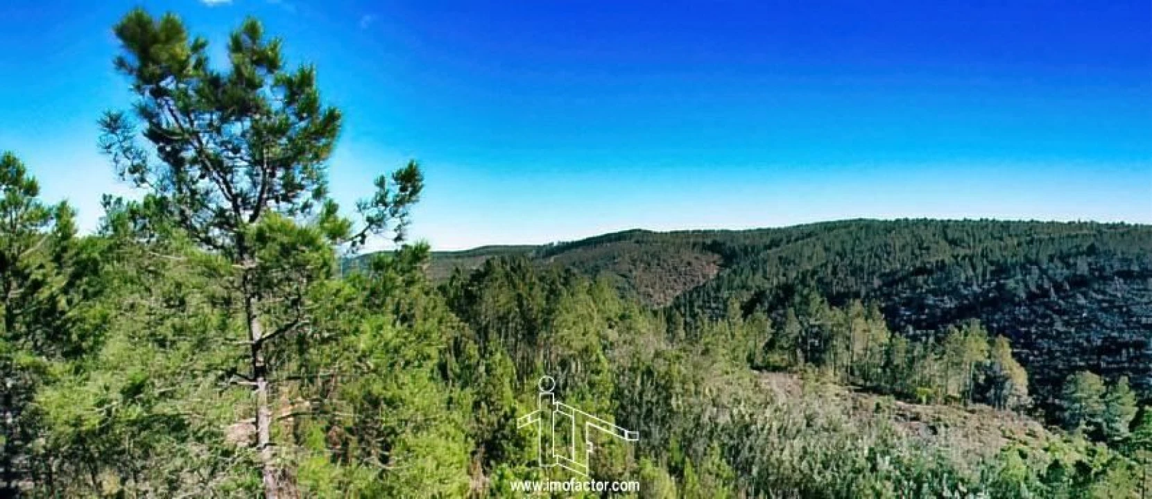 Terreno para Venda em Santo Andre das Tojeiras Foto 21