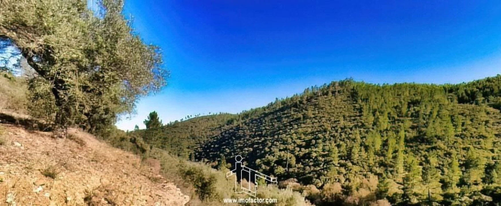 Terreno para Venda em Santo Andre das Tojeiras Foto 22