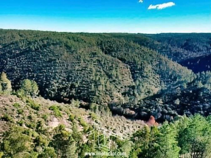 Terreno para Venda em Santo Andre das Tojeiras Foto 18