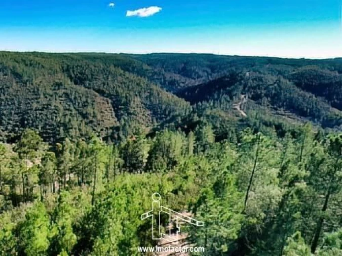 Terreno para Venda em Santo Andre das Tojeiras Foto 17