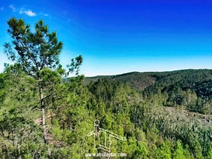 Terreno para Venda em Santo Andre das Tojeiras Foto 16