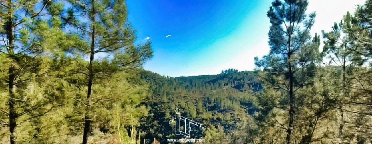 Terreno para Venda em Santo Andre das Tojeiras Foto 23