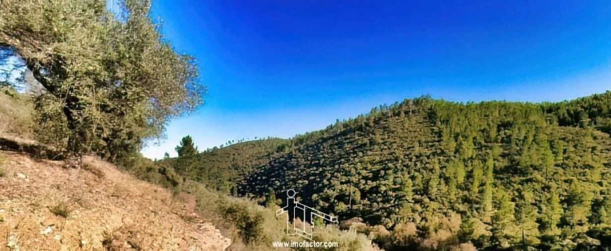 Terreno para Venda em Santo Andre das Tojeiras Foto 22