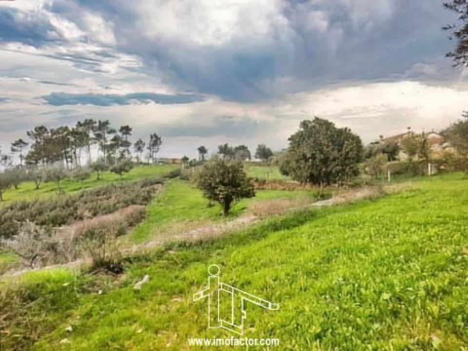 Terreno para Venda em Santo Andre das Tojeiras Foto 8