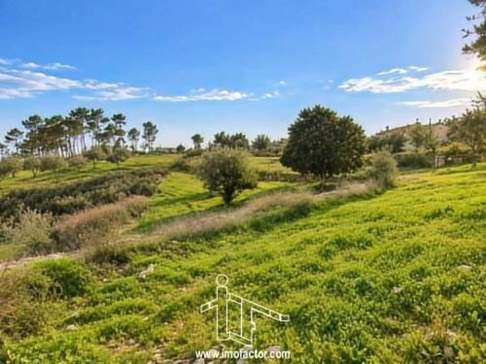 Terreno para Venda em Santo Andre das Tojeiras Foto 8