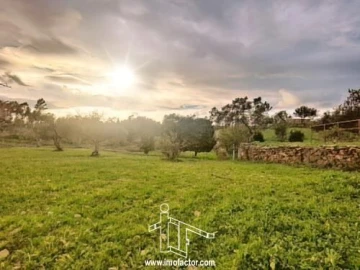Terreno para Venda em Santo Andre das Tojeiras