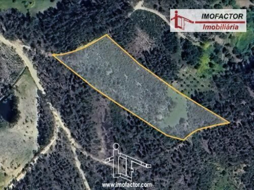 Terreno para Venda em Santo Andre das Tojeiras Foto 13