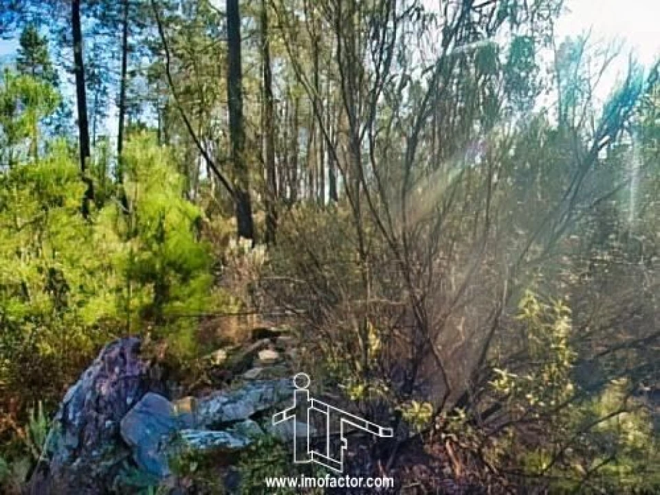 Terreno para Venda em Santo Andre das Tojeiras Foto 8