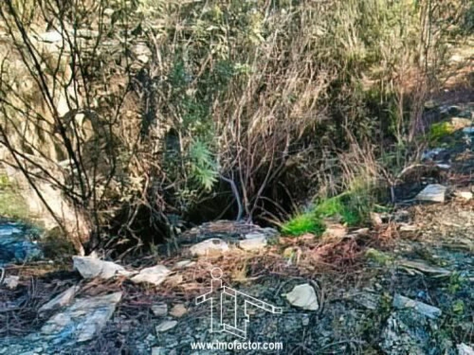 Terreno para Venda em Santo Andre das Tojeiras Foto 6